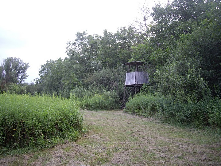 IMGP7699